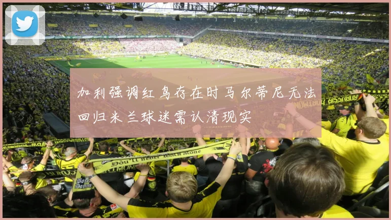 加利强调红鸟存在时马尔蒂尼无法回归米兰球迷需认清现实